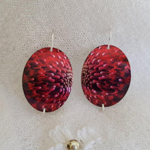 Load image into Gallery viewer, handmade-waratah-flower-imprinted-small-slightly-domed-oval-earrings-with-sterling-silver-hooks
