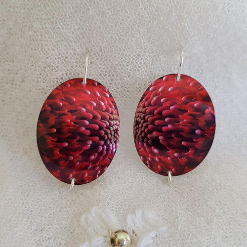 handmade-waratah-flower-imprinted-small-slightly-domed-oval-earrings-with-sterling-silver-hooks